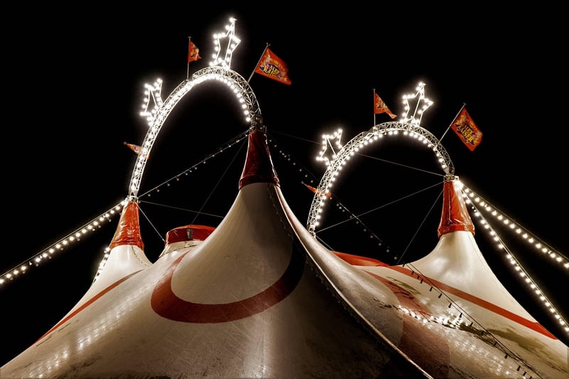 Circus Show